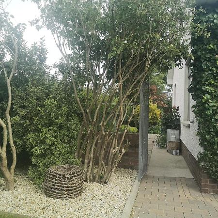 Hotel Barnescroft Kilkeel Exteriér fotografie