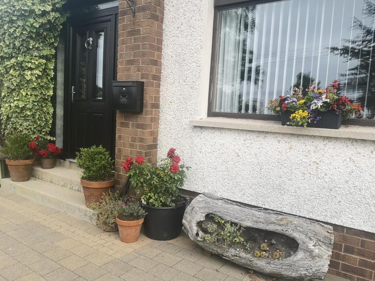 Hotel Barnescroft Kilkeel Exteriér fotografie